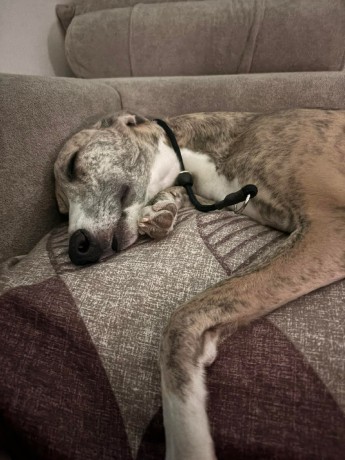 cb5de95d6715abc8e5ea649b395f28b9