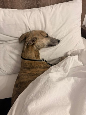 1d3948faab11a23d67b4d44300adaceb