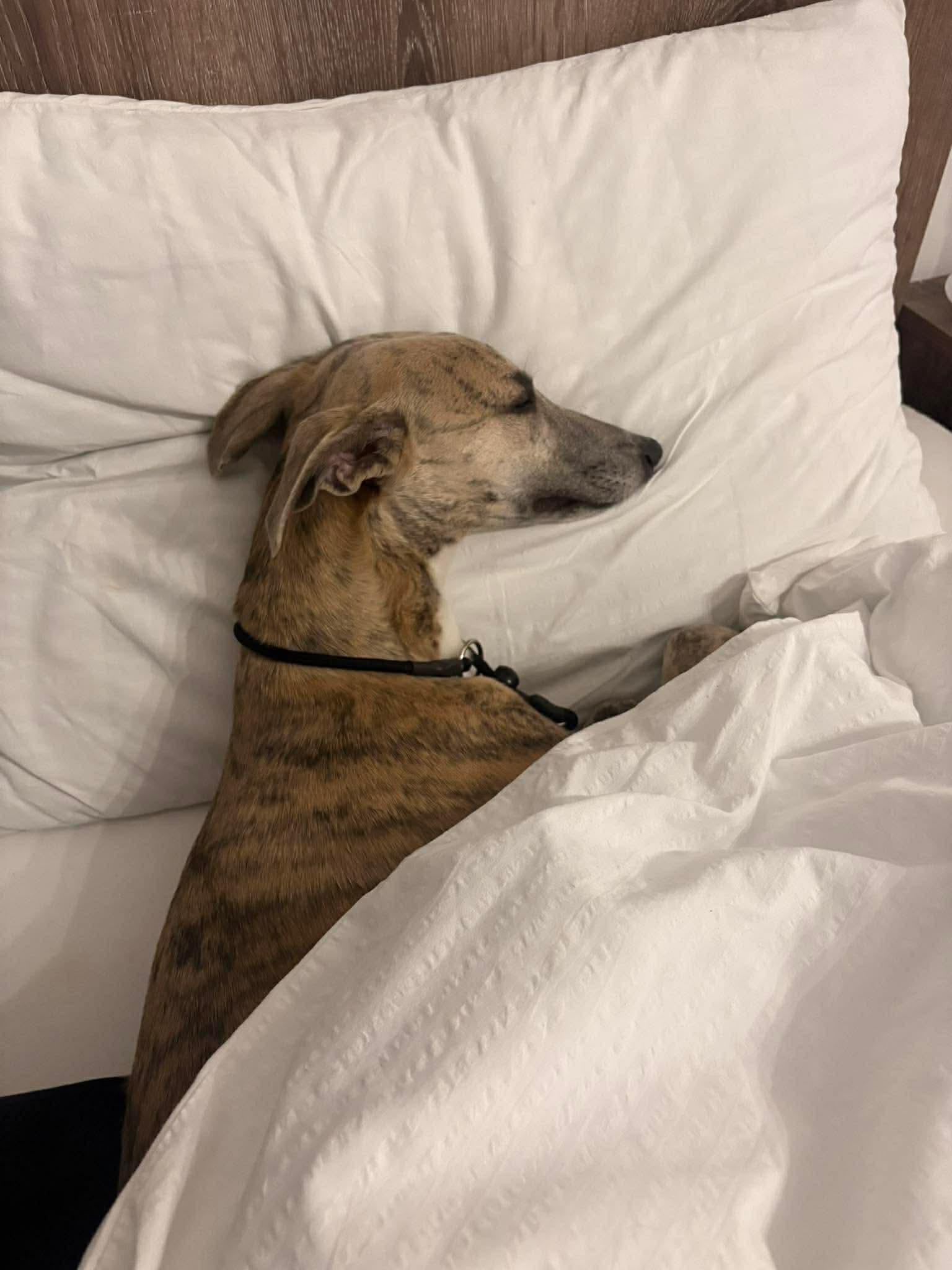 1d3948faab11a23d67b4d44300adaceb