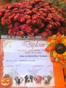 kelc-diplom.jpg