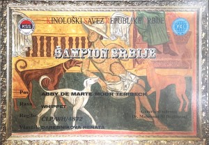 img_8393.jpeg