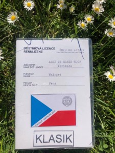 licence.jpg